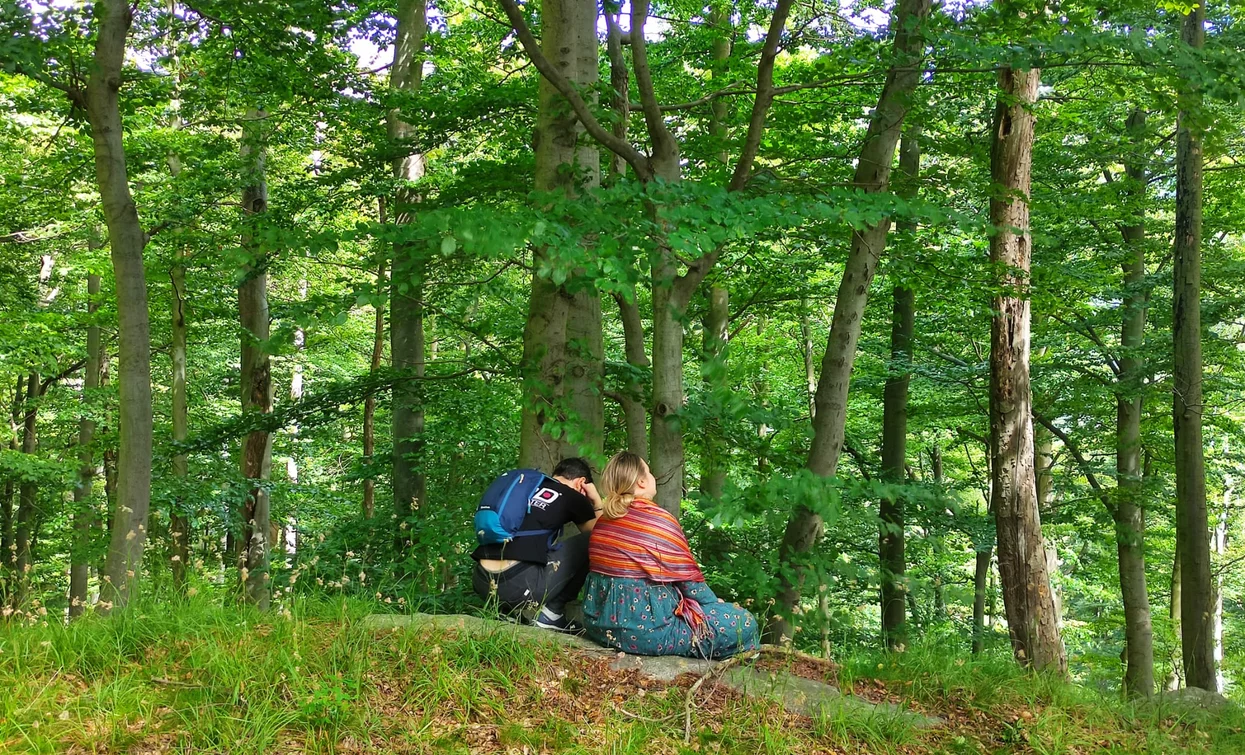 Forest Bathing