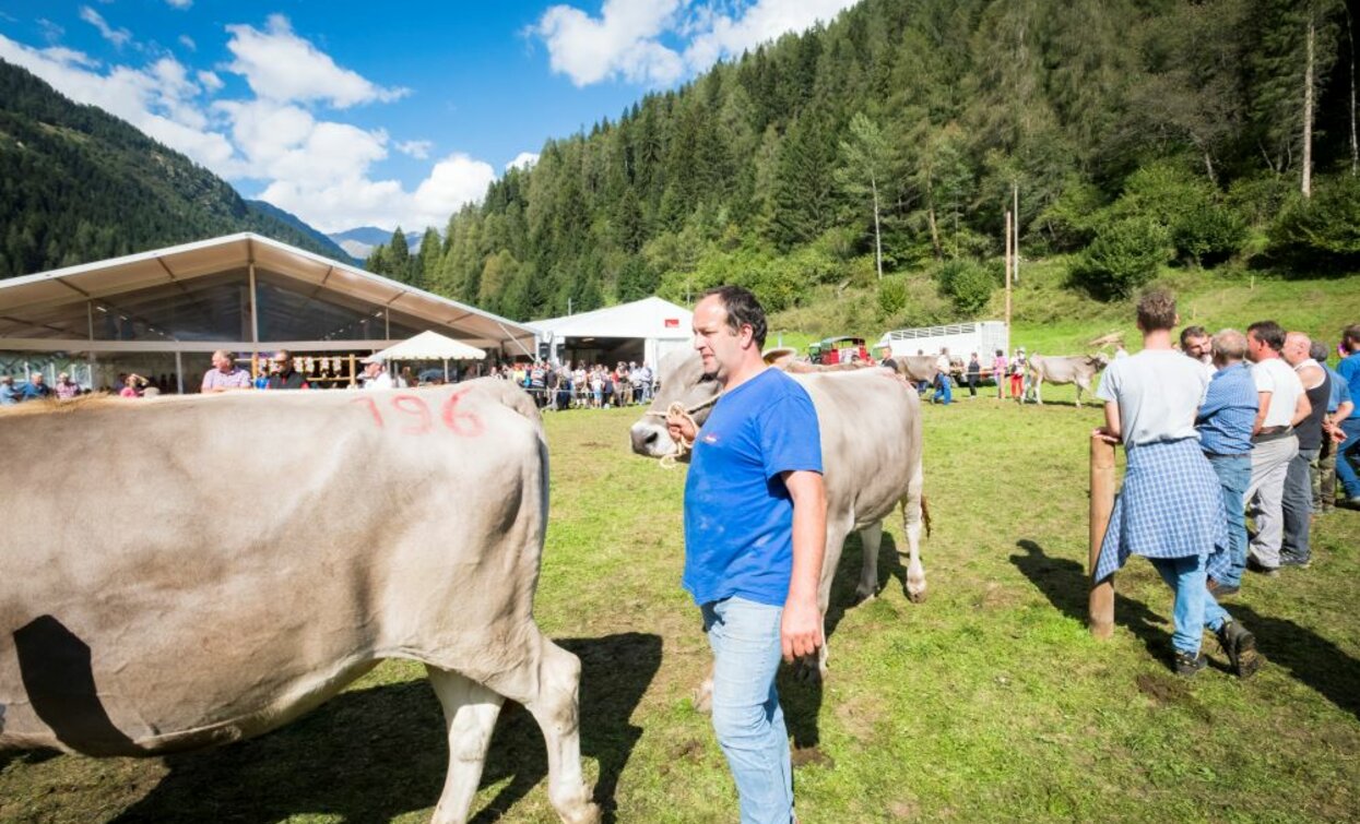 Agritur Cazzuffi - Val di Peio | © Ph Mariotti