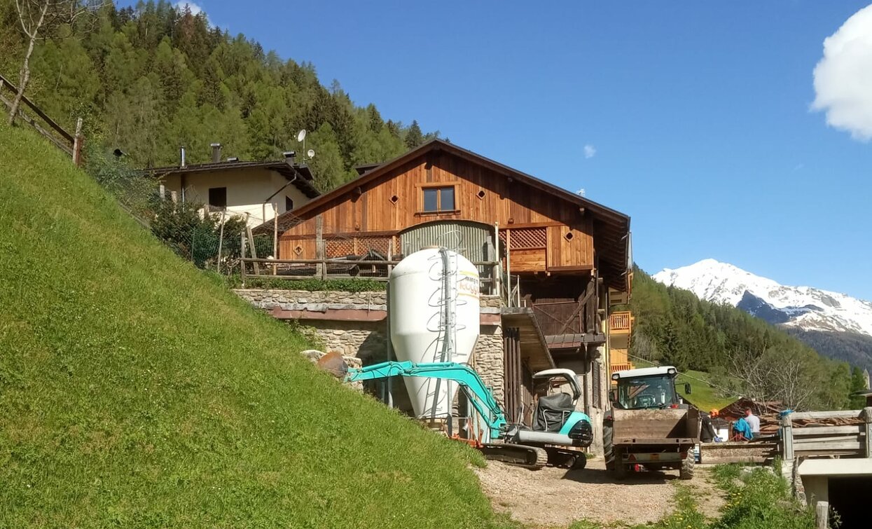 Azienda Agricola Penasa Francesco in Val di Peio