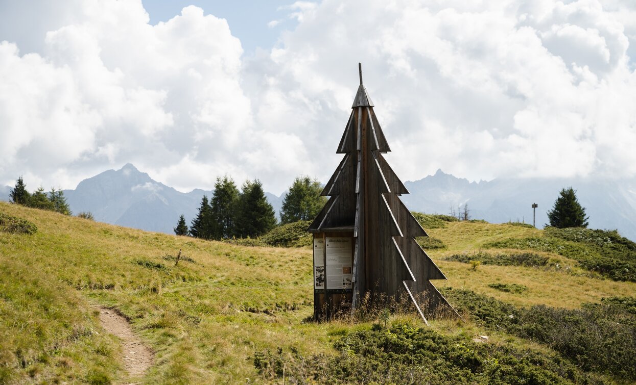 In the surroundings of Malga Campo | © Giacomo Podetti, APT Valli di Sole, Peio e Rabbi