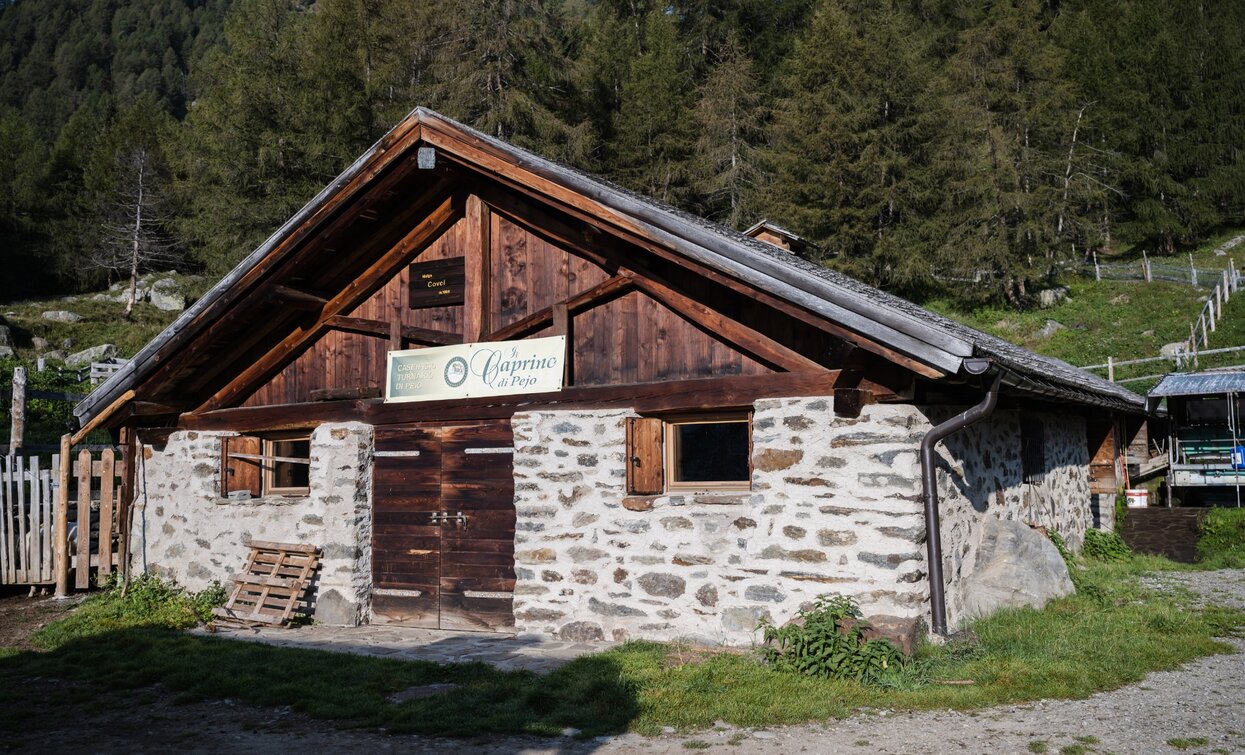 Malga Covel | © Giacomo Podetti, APT Valli di Sole, Peio e Rabbi