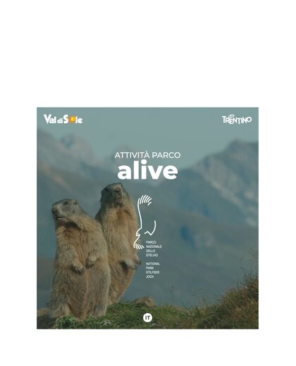 Alive | © Archivio APT Val di Sole