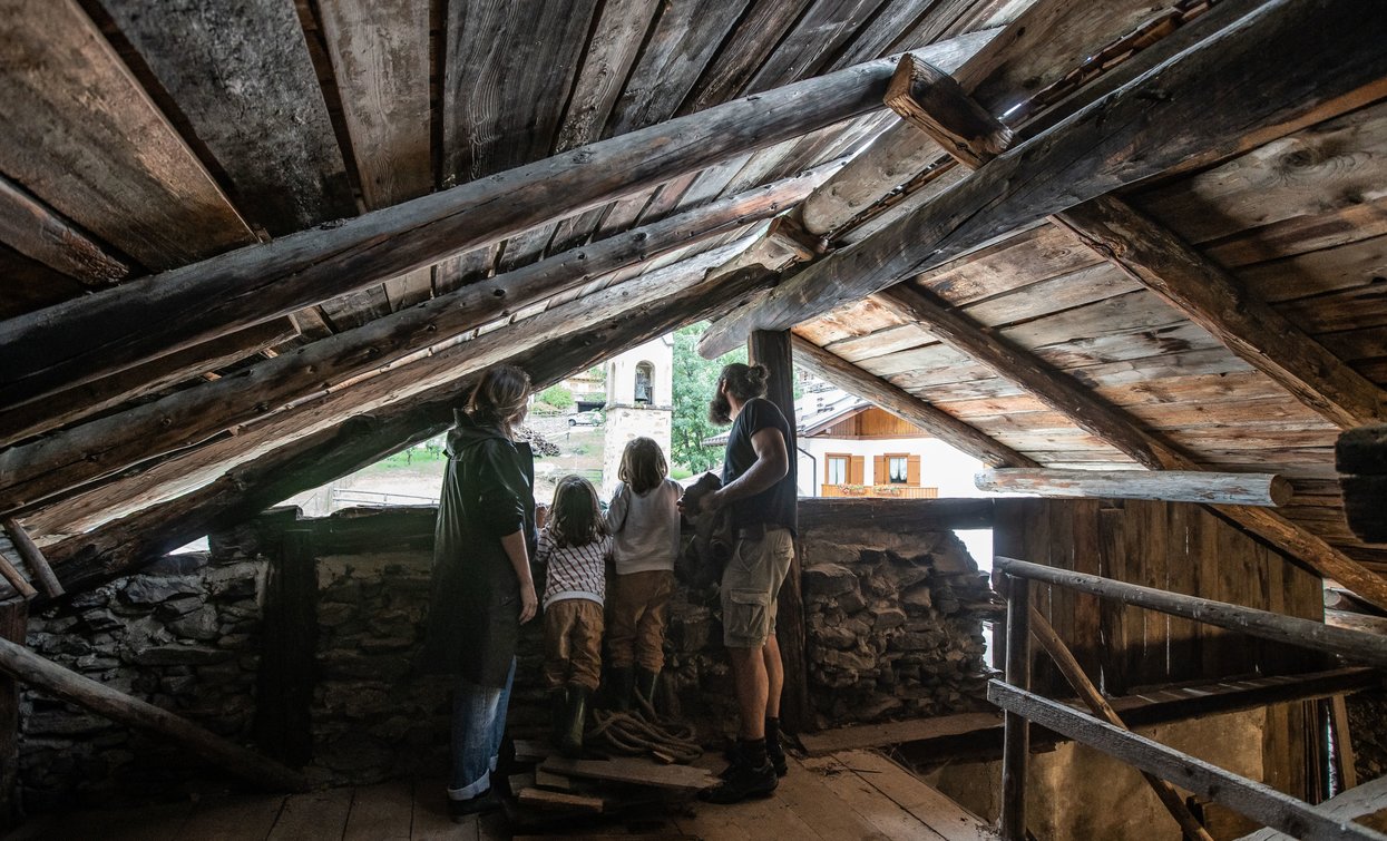 Casa Grazioli - Ecomuseo Piccolo Mondo Alpino Val di Peio | © Archivio APT Val di Sole - Ph Tommaso Prugnola