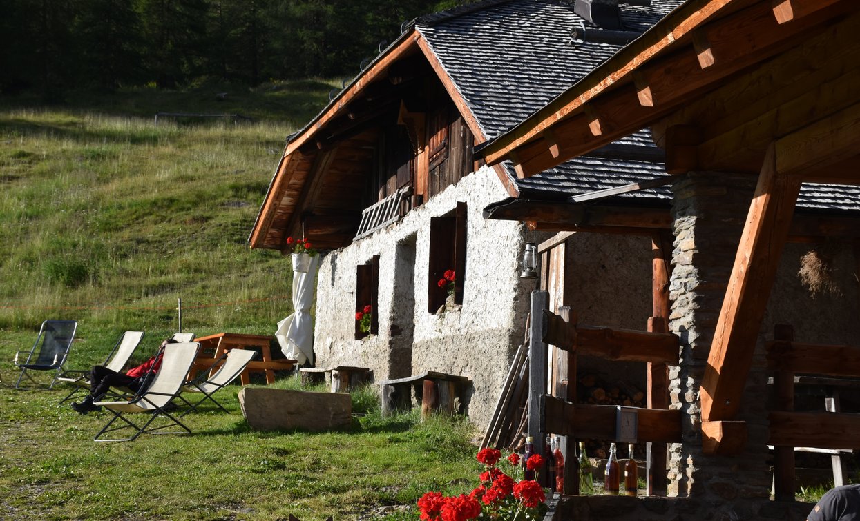 Museo Nestalp Malga Campo - Ecomuseo Piccolo Mondo Alpino Val di Peio | © Archivio APT Val di Sole - Ph Dario Andreis