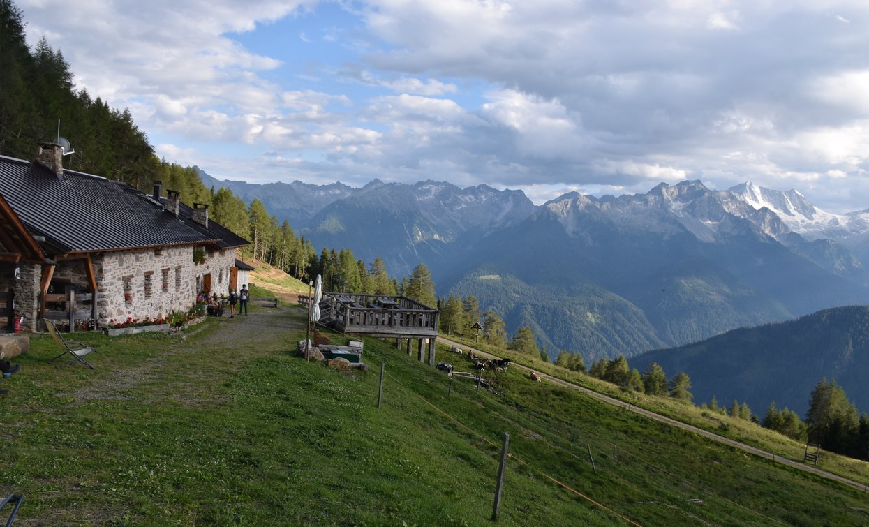 Museo Nestalp Malga Campo - Ecomuseo Piccolo Mondo Alpino Val di Peio | © Archivio APT Val di Sole - Ph Dario Andreis