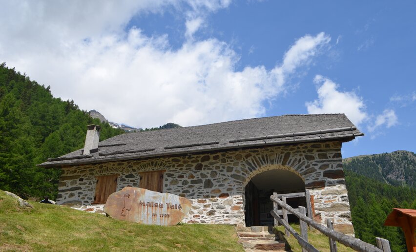 Malga Talé Il Bosco degli Urogalli | © Archivio Parco Nazionale dello Stelvio