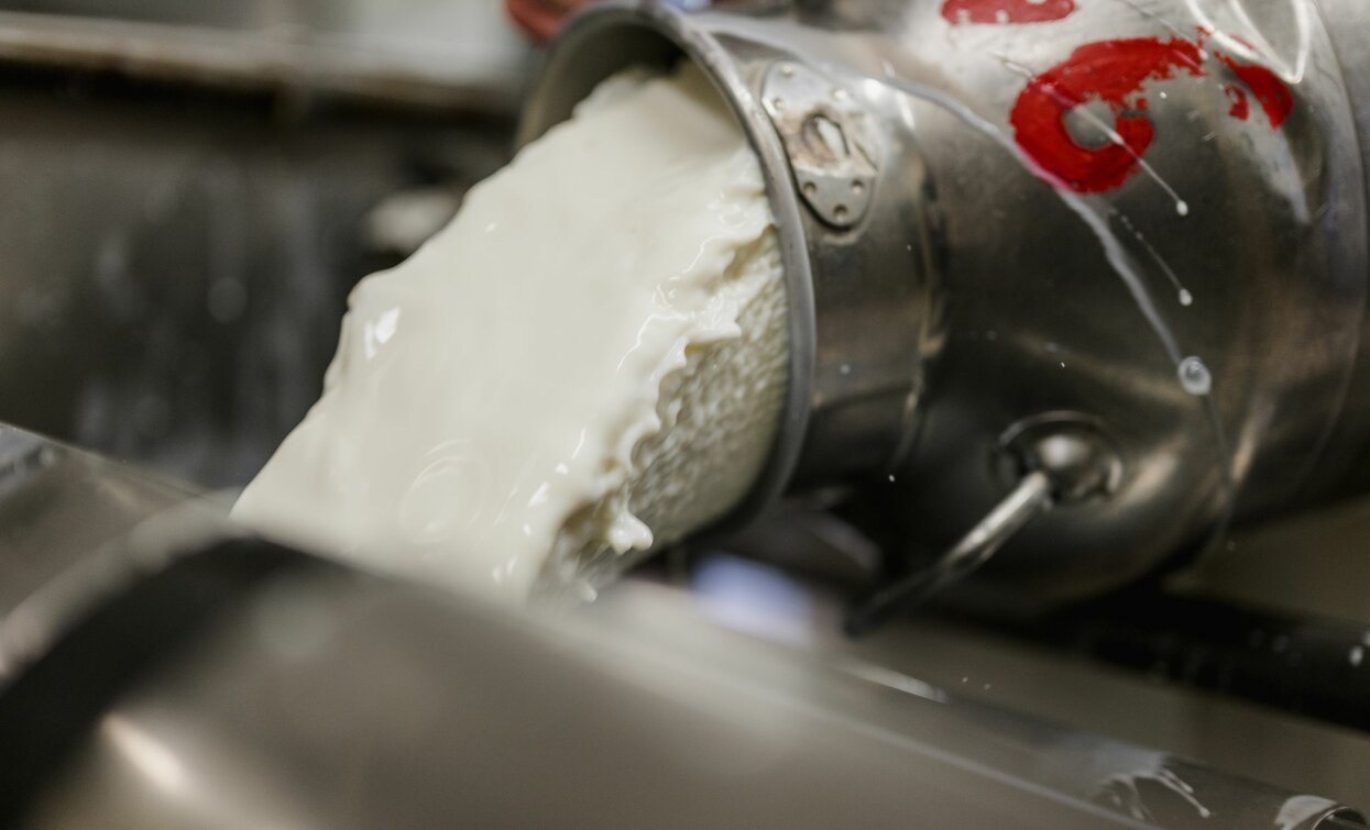 Caseificio Presanella | © Archivio APT Val di Sole - ph Caseificio Presanella