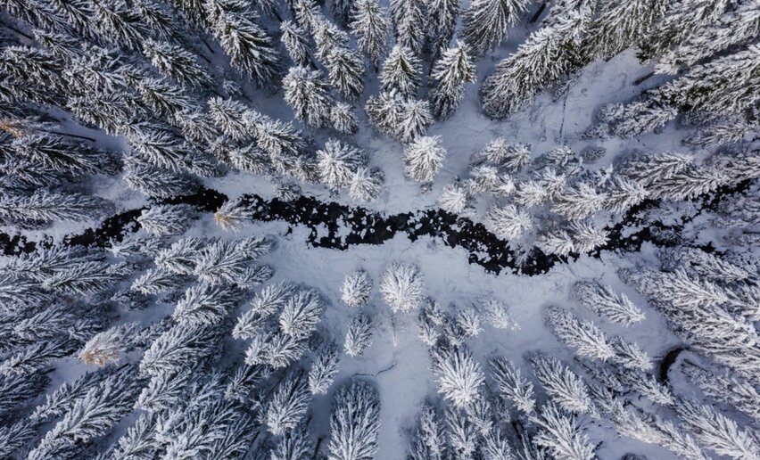 Paesaggio invernale - Un cavallo per amico | ©  Archivio APT Val di Sole 