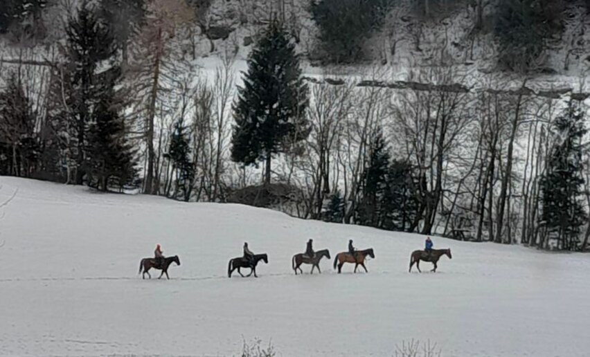 Passeggiata a cavallo in inverno  | © Archivio APT Val di Sole - Federica Delleva 
