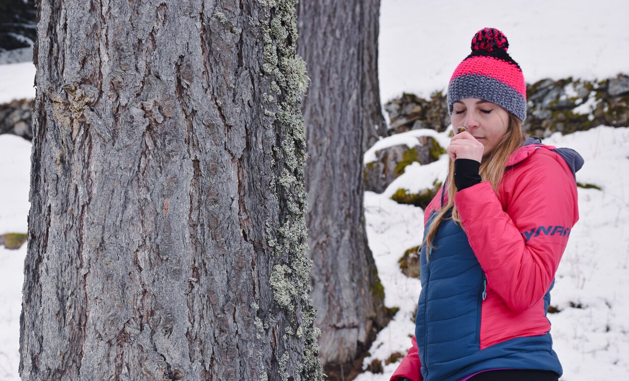 Barefooting in Val di Rabbi  | © Archivio APT Val di Sole 