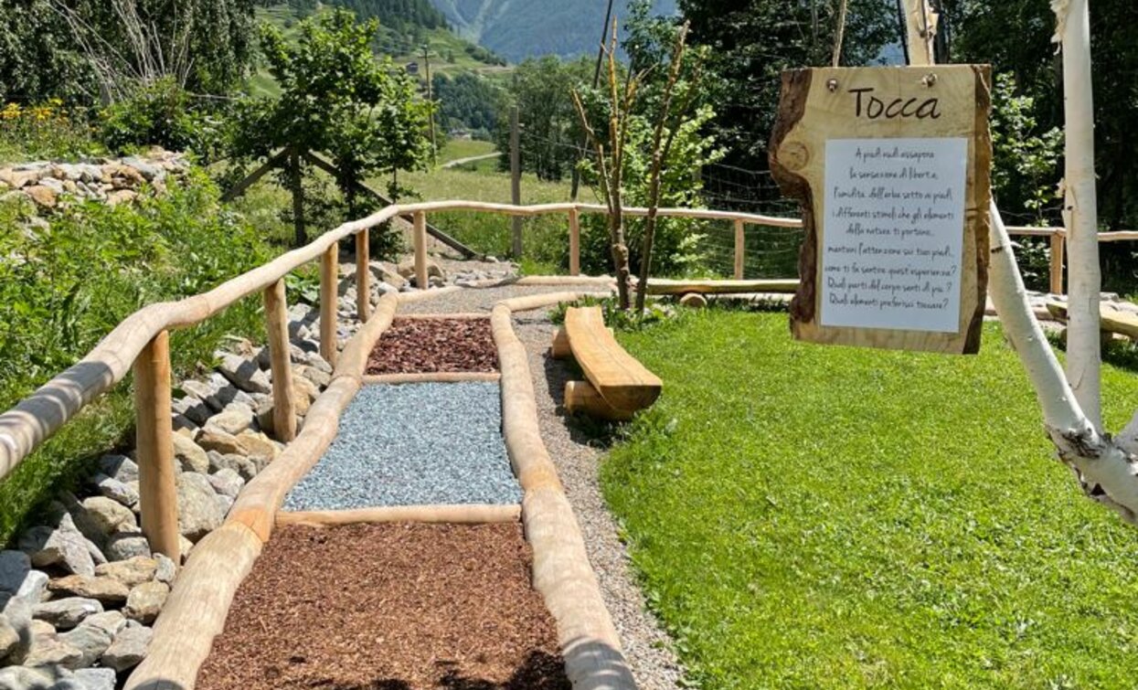 Giardino botanico Olga Casanova in Val di Peio | © Archivio APT Val di Sole - Ph Giardino Botanico Olga Casanova