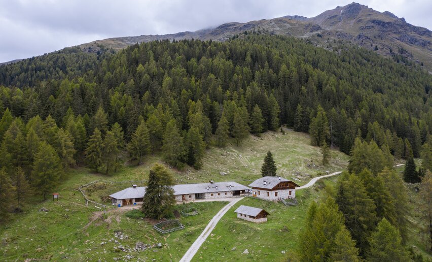Malga Paludè | © Archivio APT Val di Sole - Giacomo Podetti