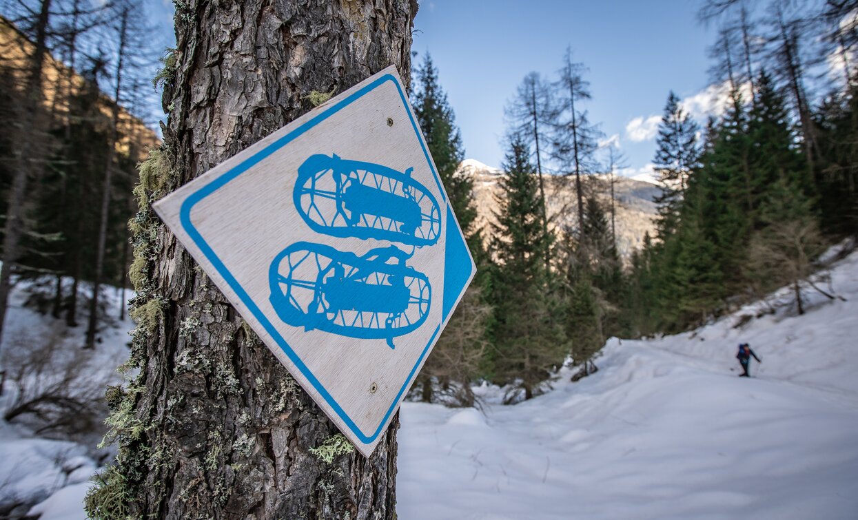ciaspole inverno | © Archivio APT Val di Sole - Ph Tommaso Prugnola