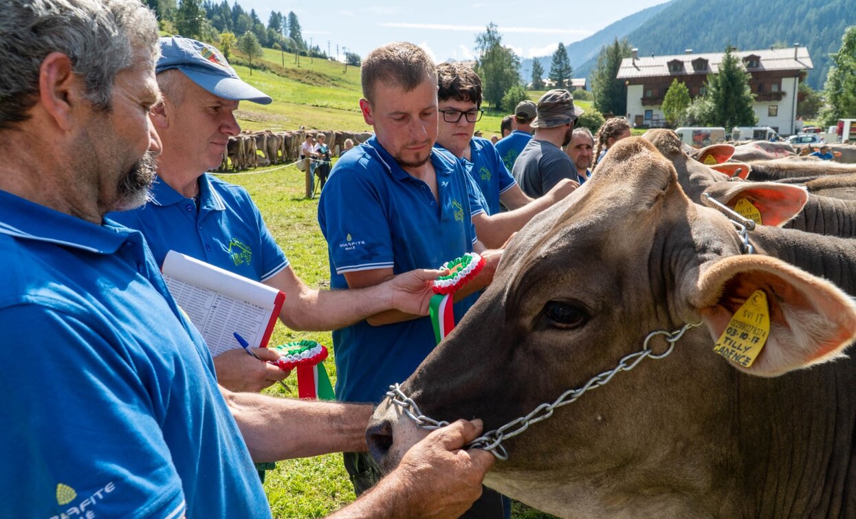 Fera de Cogol Festa dell'Agricoltura Cheese FestiVal di Sole | © Archivio APT Val di Sole - Ph Matteo Berlenga Greenpress