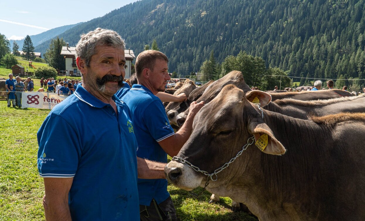 Fera de Cogol Festa dell'Agricoltura Cheese FestiVal di Sole | © Archivio APT Val di Sole - Ph Matteo Berlenga Greenpress