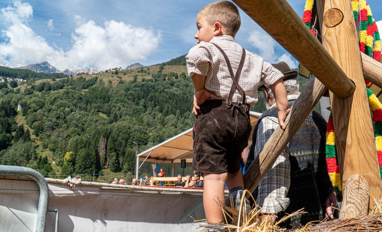 Fera de Cogol Festa dell'Agricoltura Cheese FestiVal di Sole | © Archivio APT Val di Sole - Ph Matteo Berlenga Greenpress