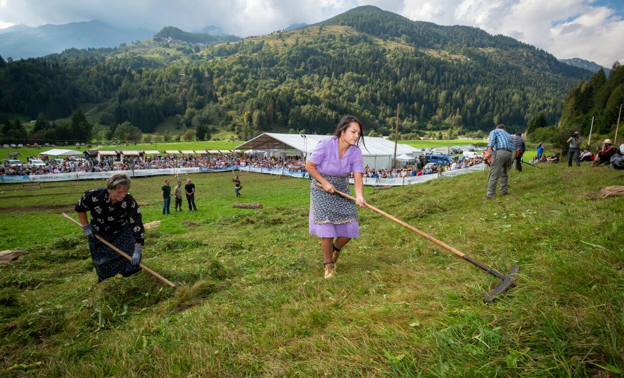 Palio delle Frazioni Festa dell'Agricoltura Cheese FestiVal di Sole | © Archivio APT Val di Sole - Ph Mauro Mariotti