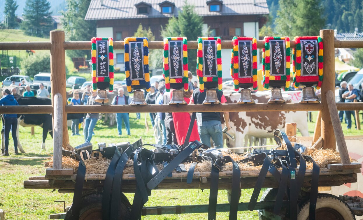 Fera de Cogol Festa dell'Agricoltura Cheese FestiVal di Sole | © Archivio APT Val di Sole - Ph Mauro Mariotti