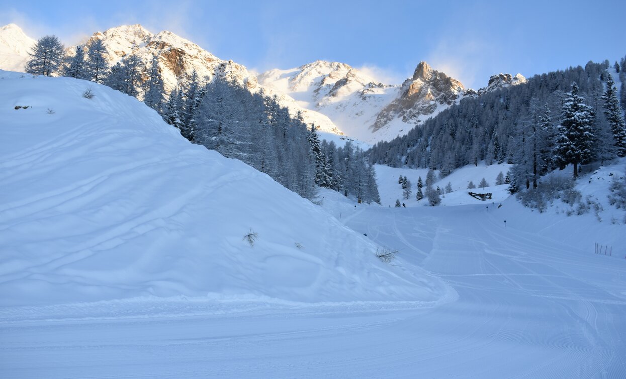 Trentino Ski Sunrise Pejo | © Archivio APT Val di Sole - ph Silvia Corrà