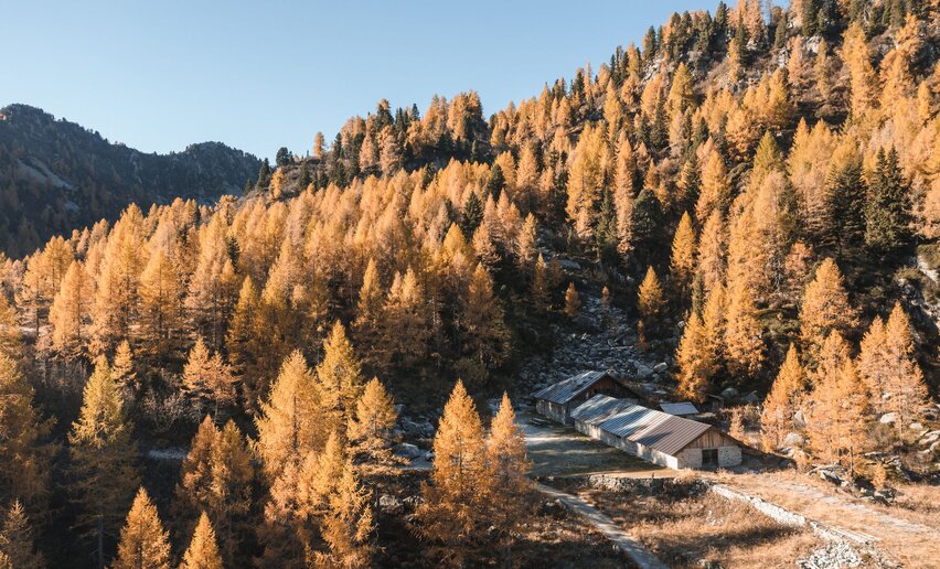 Laghetti di Mezzana in autunno | © Archivio APT Val di Sole - Ph Giacomo Podetti