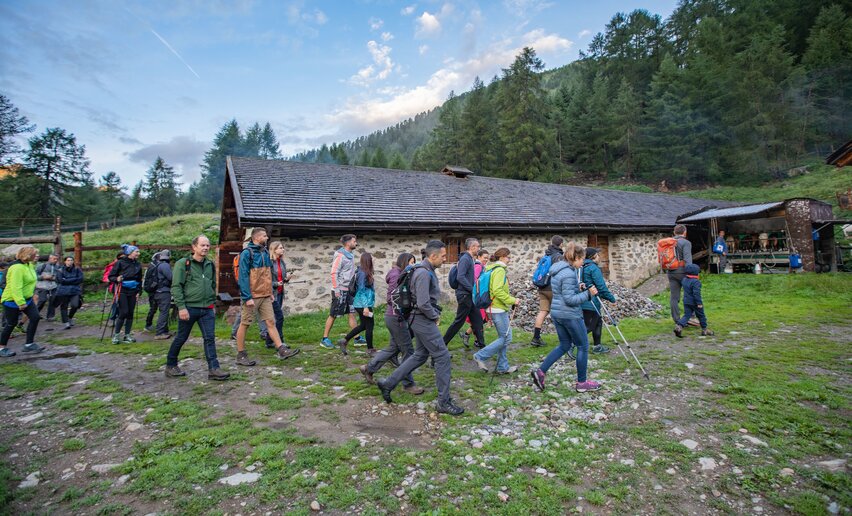 Passeggiata alba Malga Covel  | © Archivio APT Val di Sole - Ph Tommaso Prugnola 