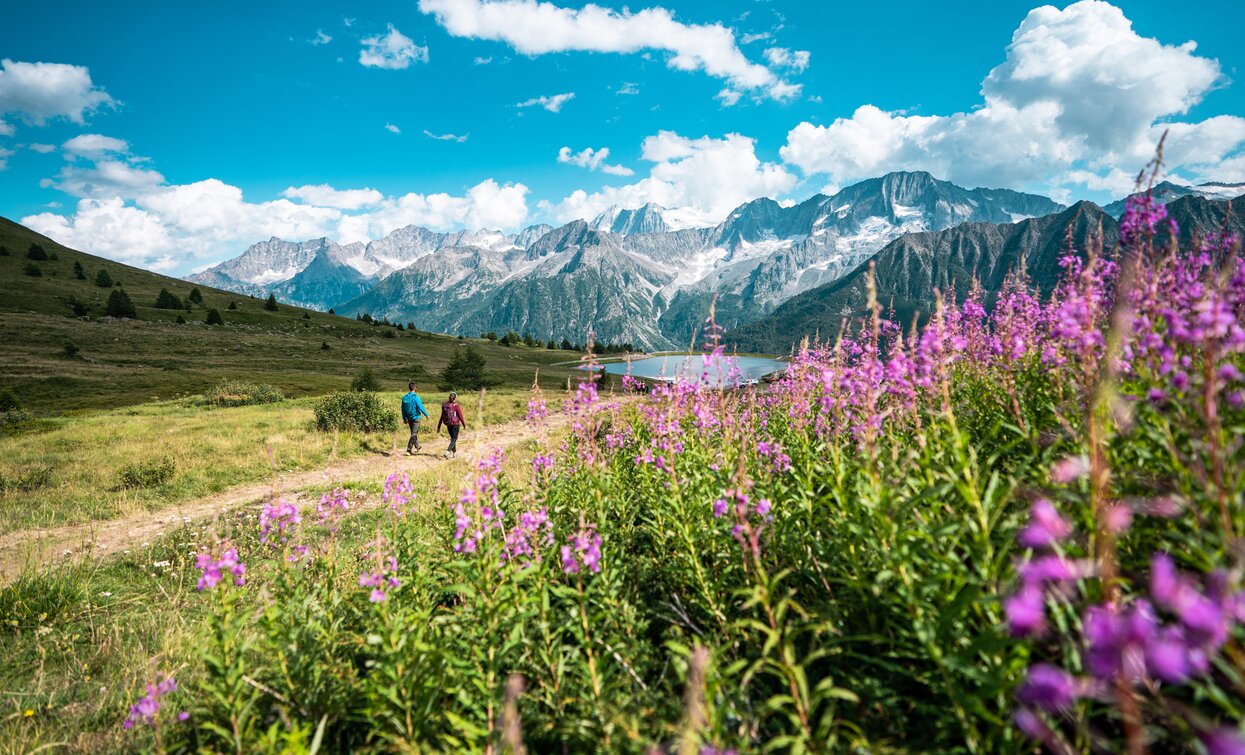 Ponte di Legno Tonale | © Archivio APT Val di Sole - Ph Camilla Pizzini 