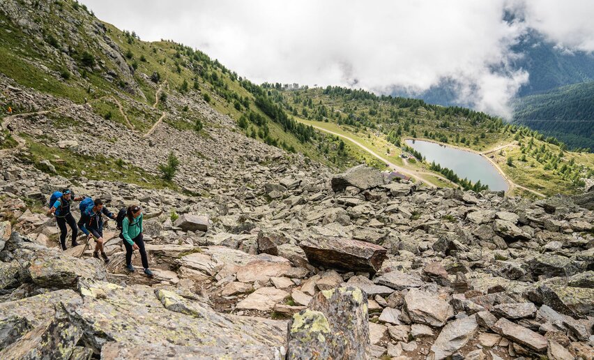 Trekking Vioz  | © Archivio APT Val di Sole - Ph Alice Russolo 