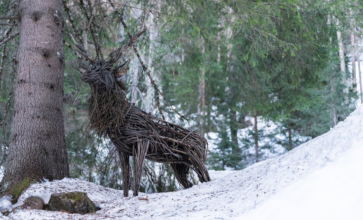 Masi di Valorz  | © Archivio APT Val di Sole - Ph Giacomo Podetti 