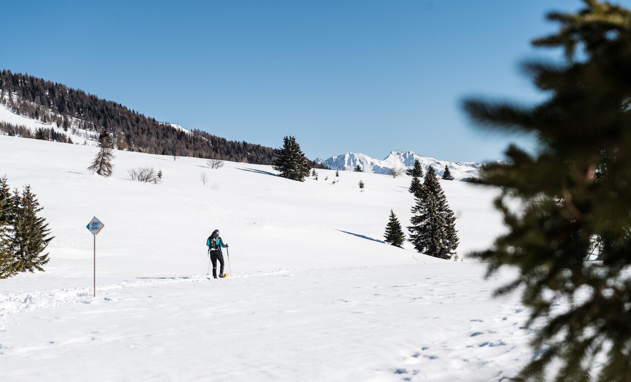 Itinerario ciaspole Giro dell'altiporto a Passo Tonale | © Archivio APT Val di Sole - Ph Giacomo Podetti Itinerario ciaspole Giro dell'altiporto a Passo Tonale | © Archivio APT Val di Sole - Ph Giacomo Podetti