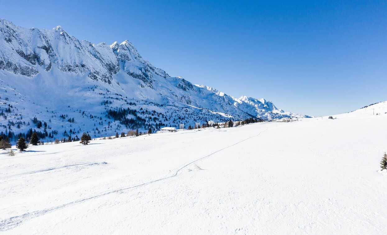 Itinerario ciaspole Giro dell'altiporto a Passo Tonale | © Archivio APT Val di Sole - Ph Giacomo Podetti Itinerario ciaspole Giro dell'altiporto a Passo Tonale | © Archivio APT Val di Sole - Ph Giacomo Podetti