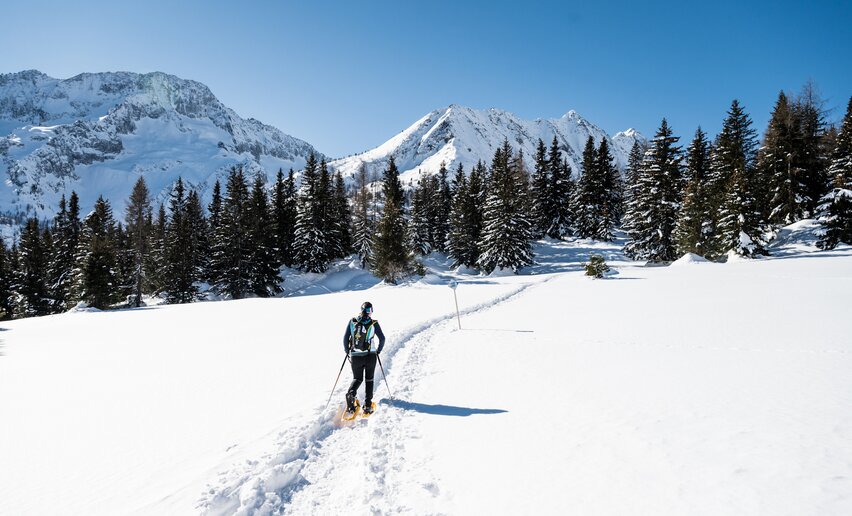 Itinerario ciaspole Giro dell'altiporto a Passo Tonale | © Archivio APT Val di Sole - Ph Giacomo Podetti Itinerario ciaspole Giro dell'altiporto a Passo Tonale | © Archivio APT Val di Sole - Ph Giacomo Podetti